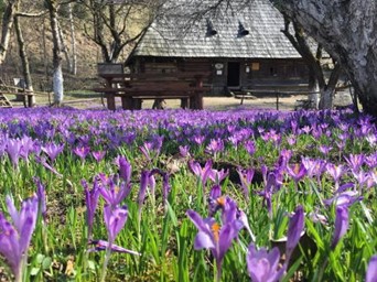 село Колочава