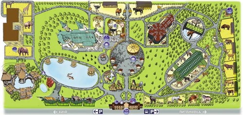 карта зоопарка 12 місяців